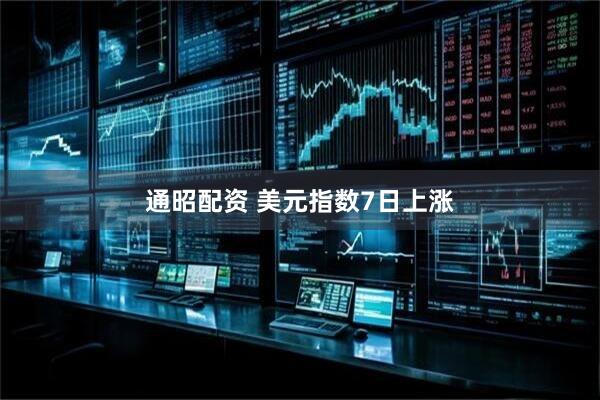 通昭配资 美元指数7日上涨