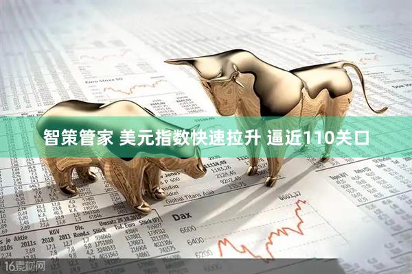 智策管家 美元指数快速拉升 逼近110关口