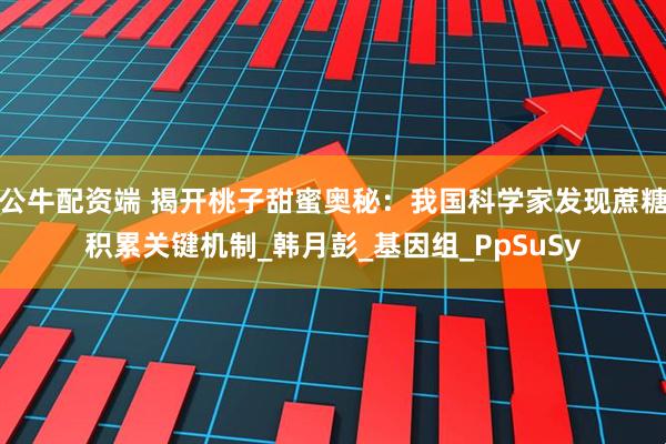 公牛配资端 揭开桃子甜蜜奥秘：我国科学家发现蔗糖积累关键机制_韩月彭_基因组_PpSuSy